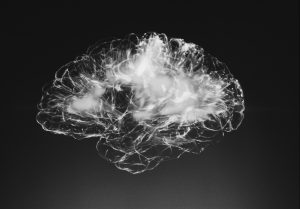 Neural connections in a brain