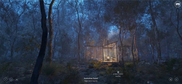 Third Place: “Australian Forest” by Sergey Ferley